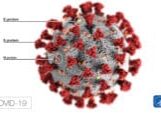 COVID-19_coronavirus_illustration_CDC_3-copy-e1585080802409