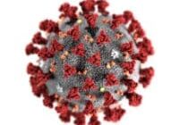 Corona-Virus-COVID-19-e1585080755848