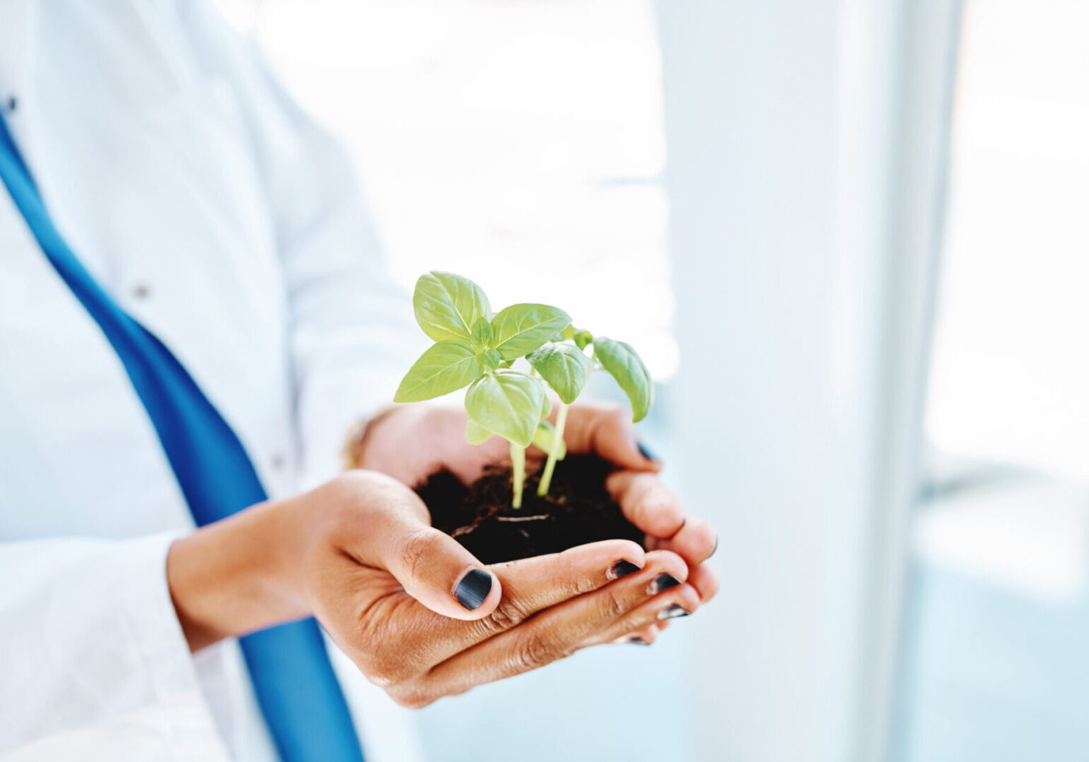 Cropped shot of a doctor holding a plant growing out of soil